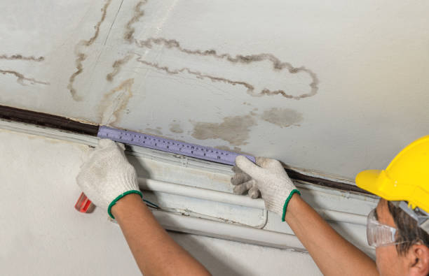 Reliable Water Damage contractor in Driftwood, TX by Water Damage Irwin